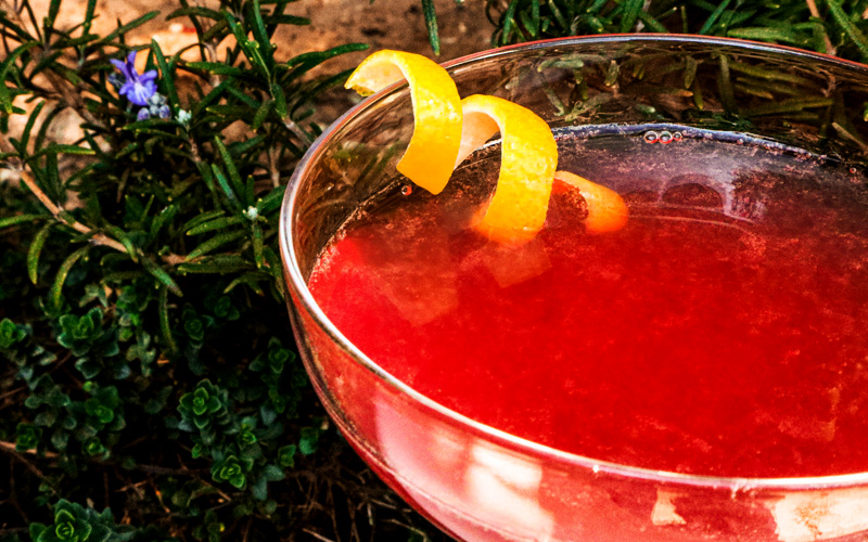 The Ever-Elegant Cosmopolitan cocktail