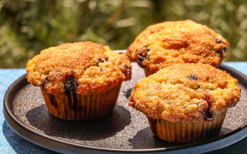 Banana and Blueberry Muffins